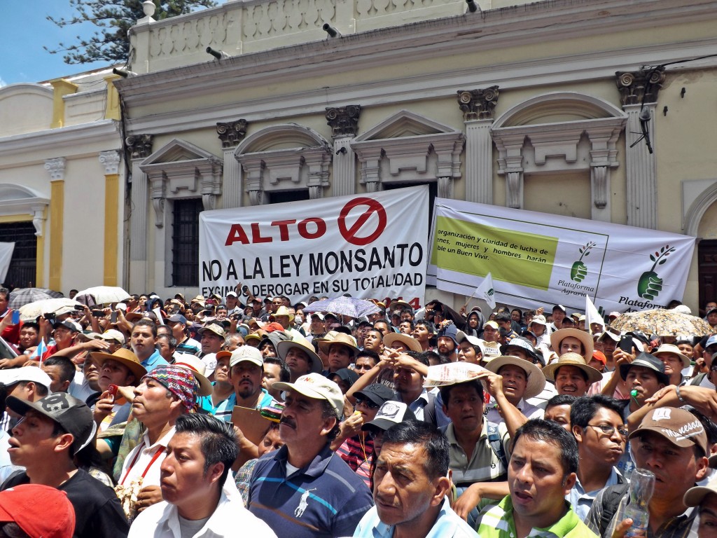 Manifestantes frente al Congreso en Ciudad de Guatemala, Agosto 2014. Foto por Ricard Busquets