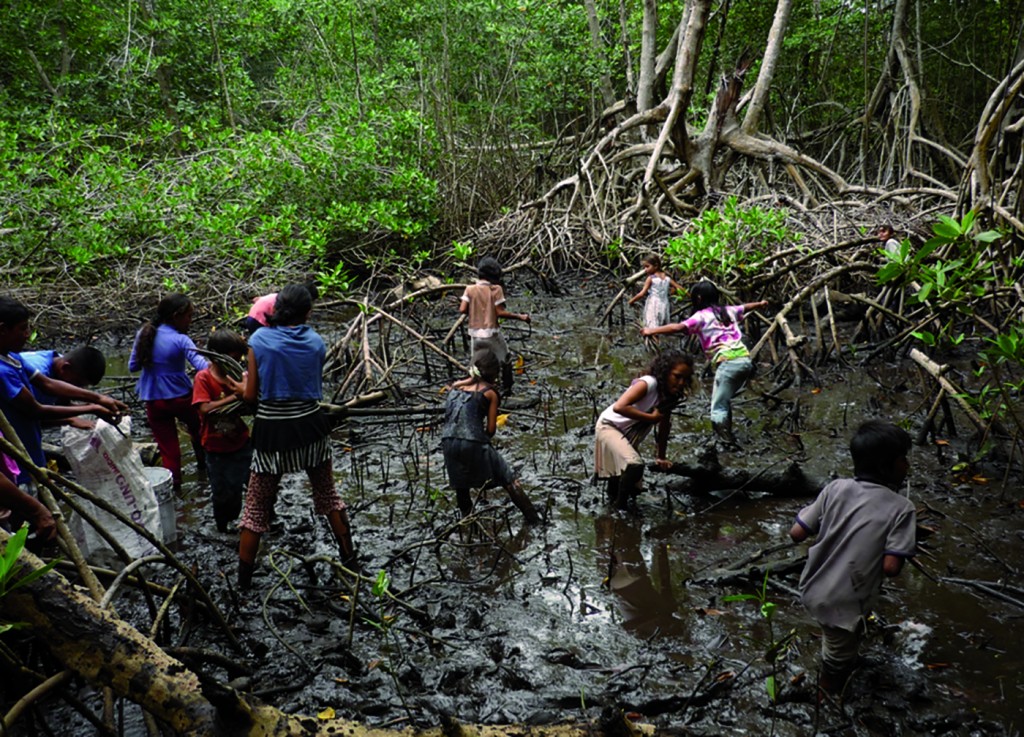 Vecinos de Tulate en el manglar de la zona, Tulate, Guatemala. Foto por: COGMANGLAR