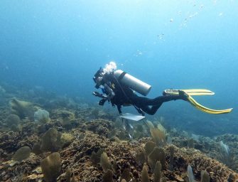 Una joya guatemalteca bajo amenaza:  Descubrimiento y exploración del arrecife de coral Corona Caimán