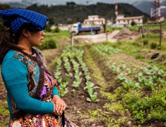 Mujeres y uso de la tierra en Guatemala: un problema antiguo, todavía sin solución