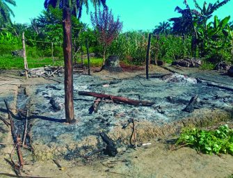 Colonialismo, genocidio y aceite de palma: el pueblo indígena Q’eqchi’ en la lucha por su territorio en Chinebal, Guatemala